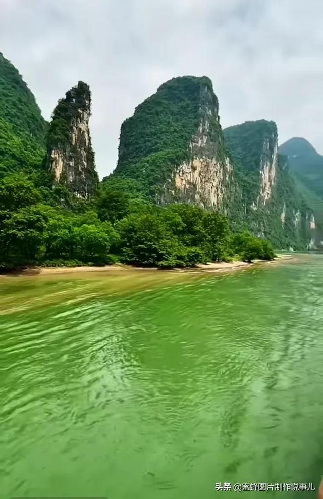 小宝贝仪仗队